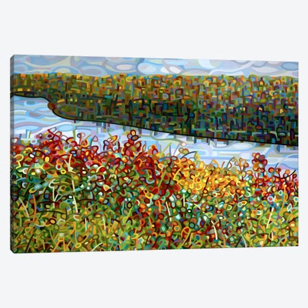 The River Canvas Print #MBD23} by Mandy Budan Canvas Art Print
