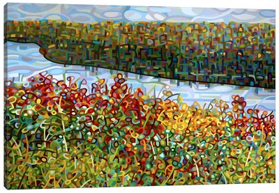 The River Canvas Art Print - Mandy Budan