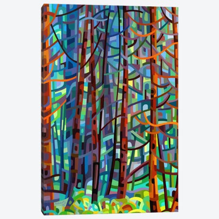 In a Pine Forest Canvas Print #MBD8} by Mandy Budan Canvas Art