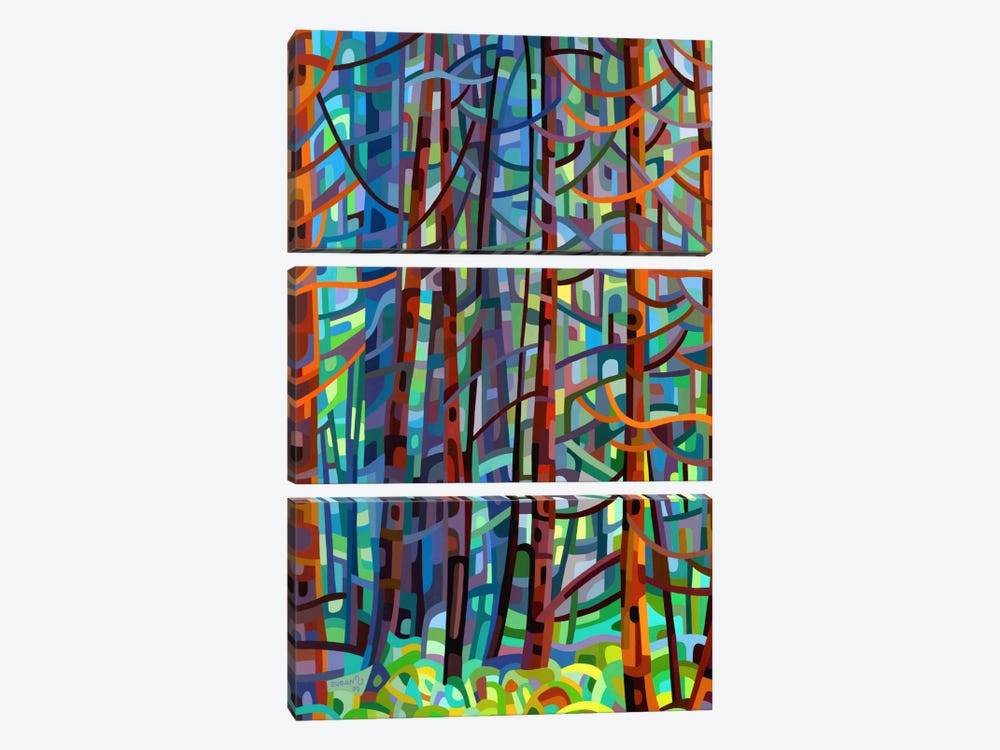In a Pine Forest by Mandy Budan 3-piece Canvas Print