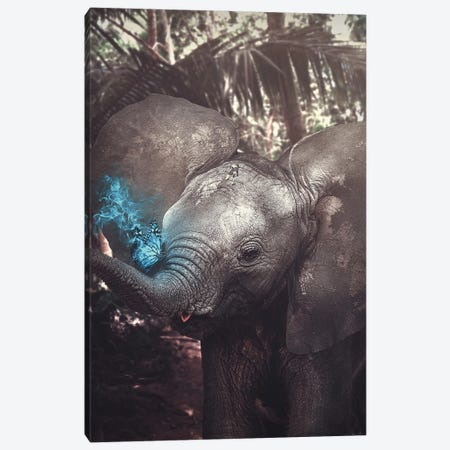 Friendly Elephant Canvas Print #MBK33} by Marischa Becker Canvas Art Print