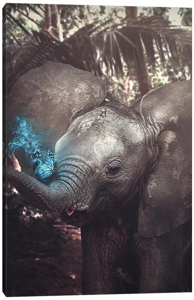 Friendly Elephant Canvas Art Print - Marischa Becker