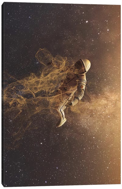 Lost In Space Canvas Art Print - Marischa Becker