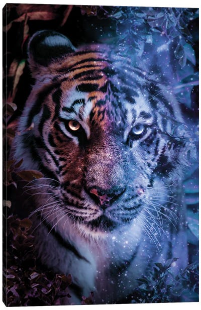 Magic Tiger Canvas Art Print - Through The Looking Glass