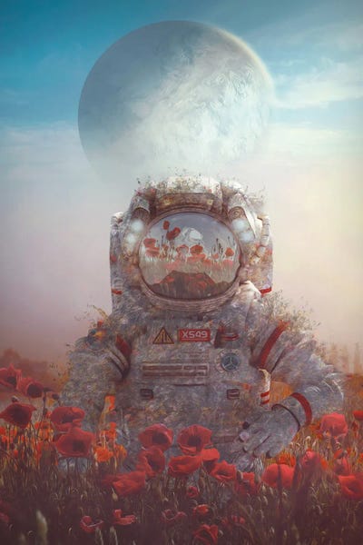 New World by Marischa Becker canvas print