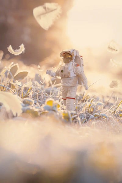 Paradise by Marischa Becker canvas print