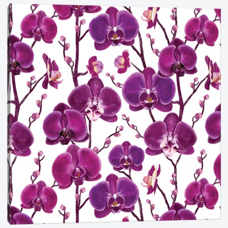 Purple Orchid Blooms Canvas Print #MBL103} by Marble Art Co Canvas Wall Art