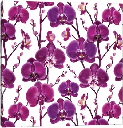 Purple Orchid Blooms Canvas Art Print - Orchid Art