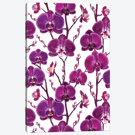 Purple Orchid Spring Canvas Print #MBL105} by Marble Art Co Art Print