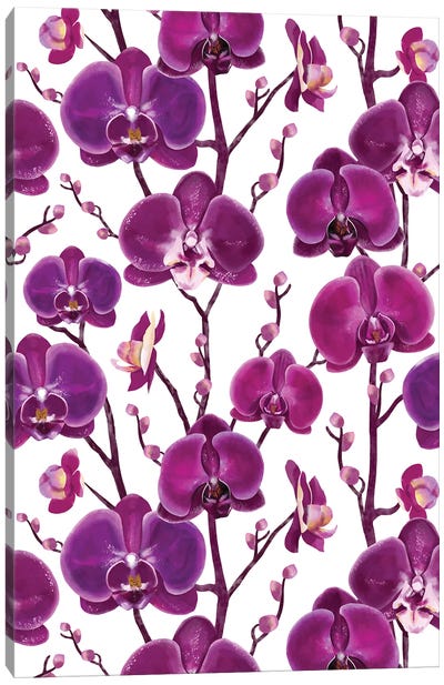 Purple Orchid Spring Canvas Art Print - Orchid Art