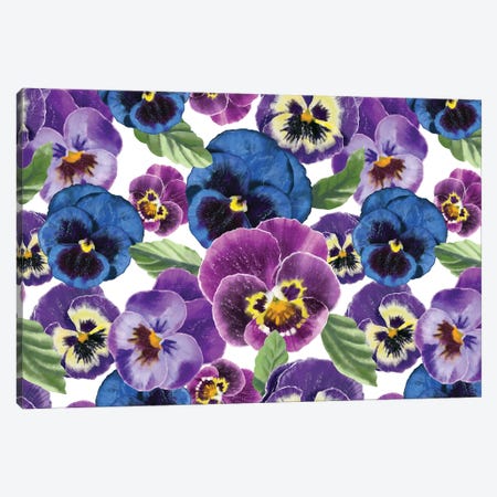 Pansies Flowers Canvas Print #MBL106} by Marble Art Co Canvas Print