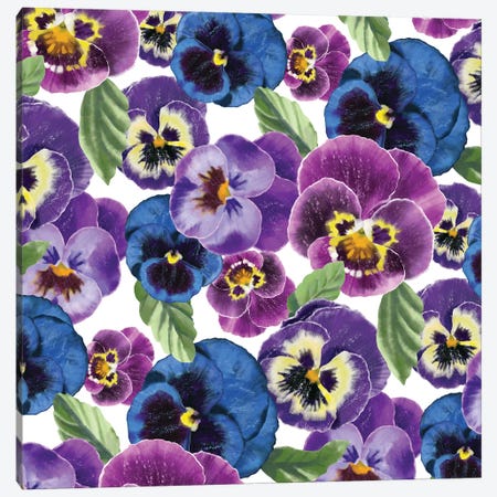 Pansies Blooms Canvas Print #MBL107} by Marble Art Co Canvas Print