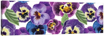 Blue And Purple Pansies Blossoms Canvas Art Print