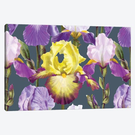 Yellow And Lilac Irises Canvas Print #MBL118} by Marble Art Co Canvas Art Print