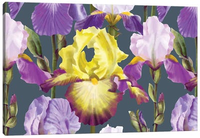 Yellow And Lilac Irises Canvas Art Print - Marble Art Co