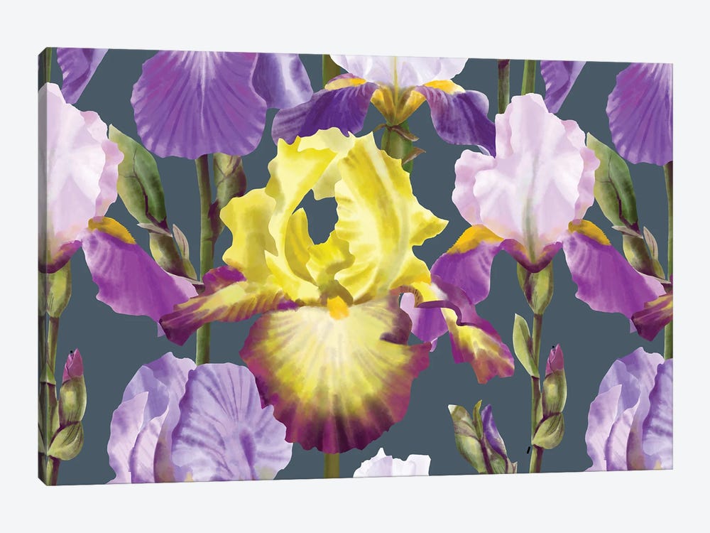 Yellow And Lilac Irises by Marble Art Co 1-piece Canvas Print