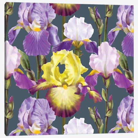 Iris Blossoms Canvas Print #MBL119} by Marble Art Co Art Print