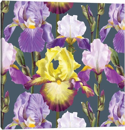 Iris Blossoms Canvas Art Print - Marble Art Co
