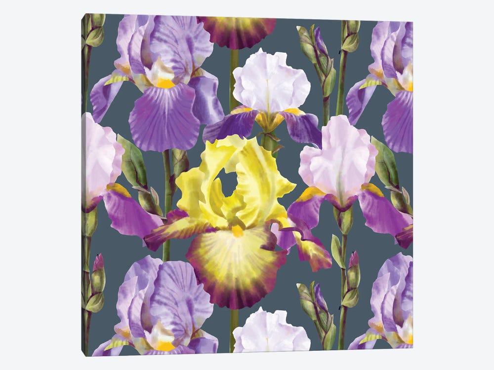 Iris Blossoms by Marble Art Co 1-piece Canvas Art