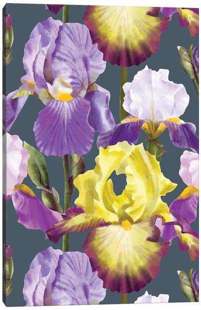 Yellow Iris Summer Canvas Art Print - Marble Art Co