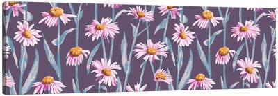 Pink Alpine Asters Canvas Art Print - Marble Art Co