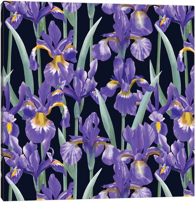 Blue Irises On Dark Background Canvas Art Print - Marble Art Co