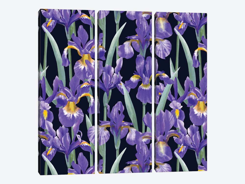 Blue Irises On Dark Background by Marble Art Co 3-piece Canvas Art Print