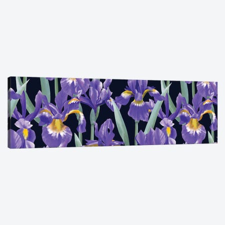 Blue Irises Horizontal Canvas Print #MBL81} by Marble Art Co Canvas Print