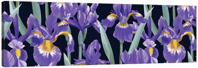 Blue Irises Horizontal Canvas Art Print - Floral & Botanical Patterns