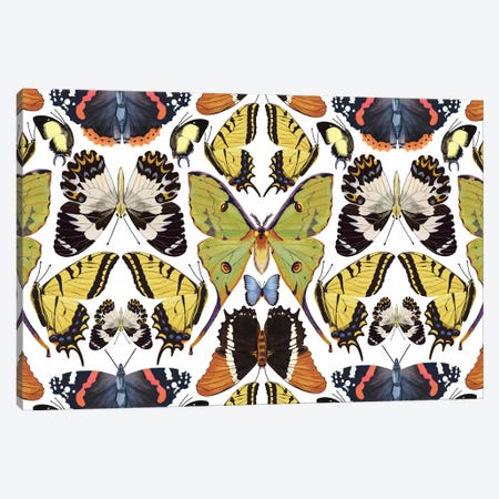 Butterfly Pattern Canvas Print #MBL84} by Marble Art Co Canvas Artwork