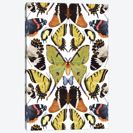 Tropical Butterfly Pattern Vertical Canvas Print #MBL90} by Marble Art Co Canvas Art