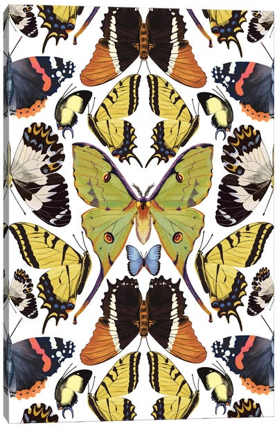 Tropical Butterfly Pattern Vertical Canvas Art Print - Marble Art Co