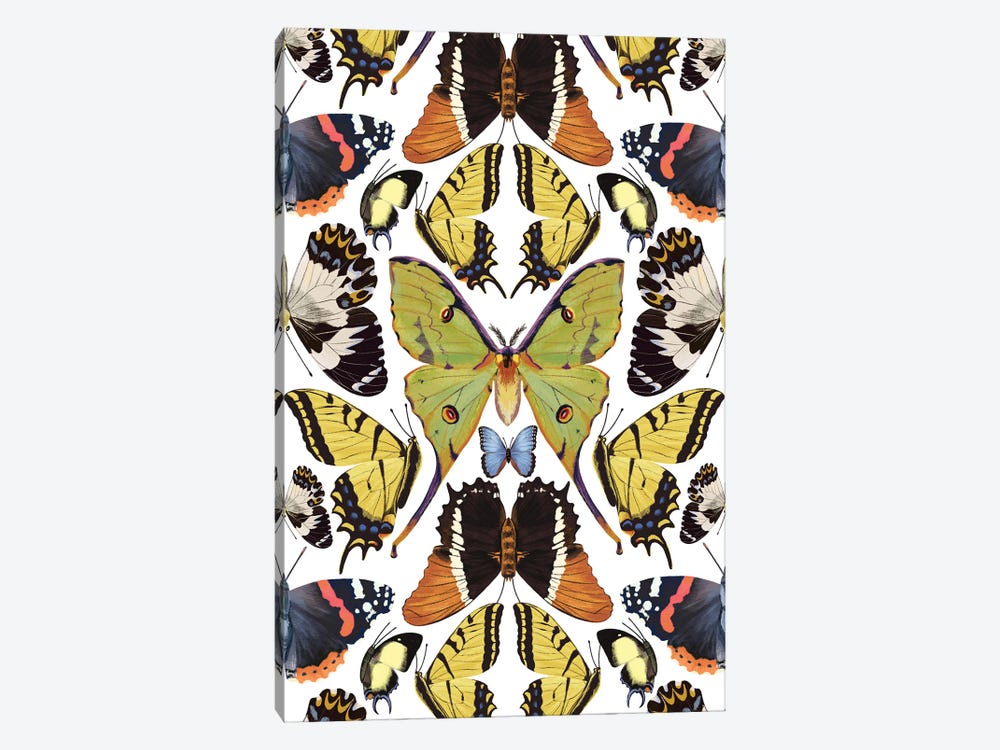 Tropical Butterfly Pattern Vertical by Marble Art Co 1-piece Canvas Wall Art