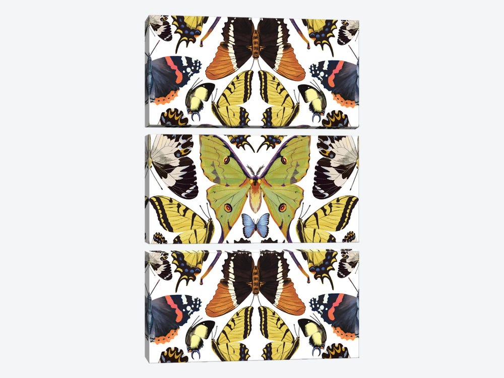 Tropical Butterfly Pattern Vertical by Marble Art Co 3-piece Canvas Art