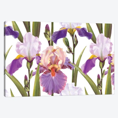 Lilac Irises Canvas Print #MBL95} by Marble Art Co Art Print