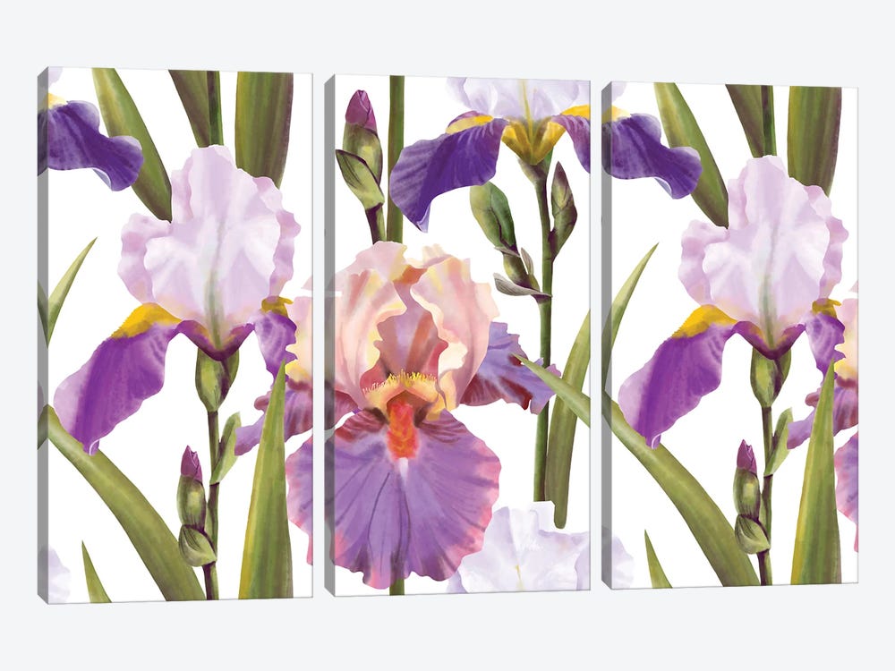 Lilac Irises by Marble Art Co 3-piece Canvas Art Print
