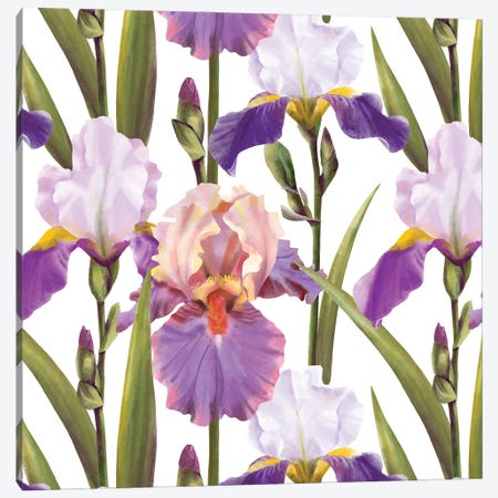 Irises Pattern Canvas Print #MBL96} by Marble Art Co Canvas Print