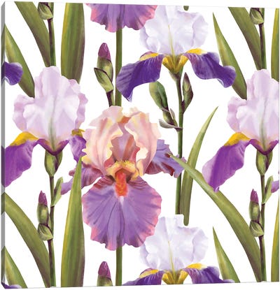 Irises Pattern Canvas Art Print - Marble Art Co