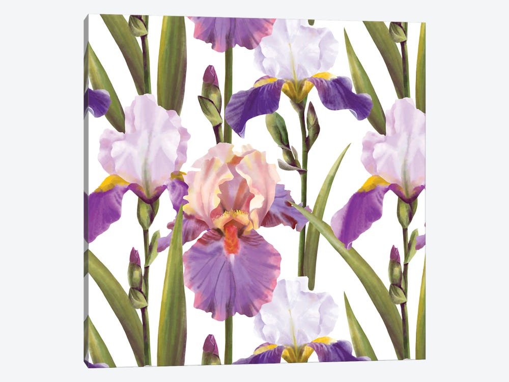 Irises Pattern by Marble Art Co 1-piece Canvas Art