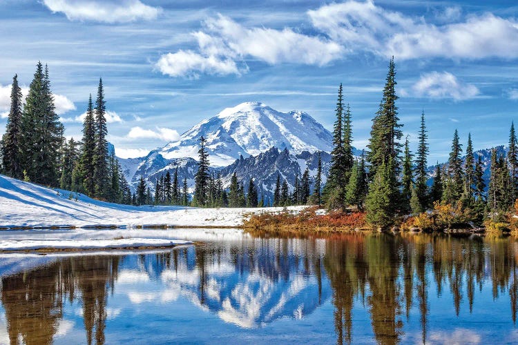 Mt. Rainier Vista by Michael Broom wall art