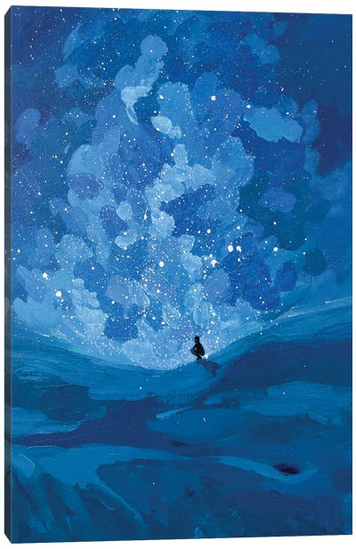 Starcatcher Canvas Art Print - Marina Beresneva