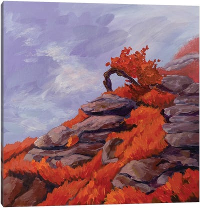 A Tree On A Rock Canvas Art Print - Marina Beresneva