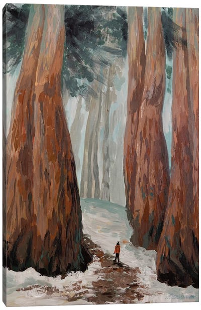 Other Redwoods Canvas Art Print - Marina Beresneva