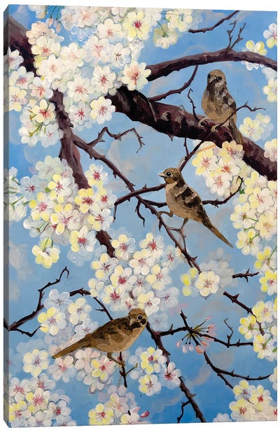 Spring Has Come Canvas Art Print - Almond Blossom Art