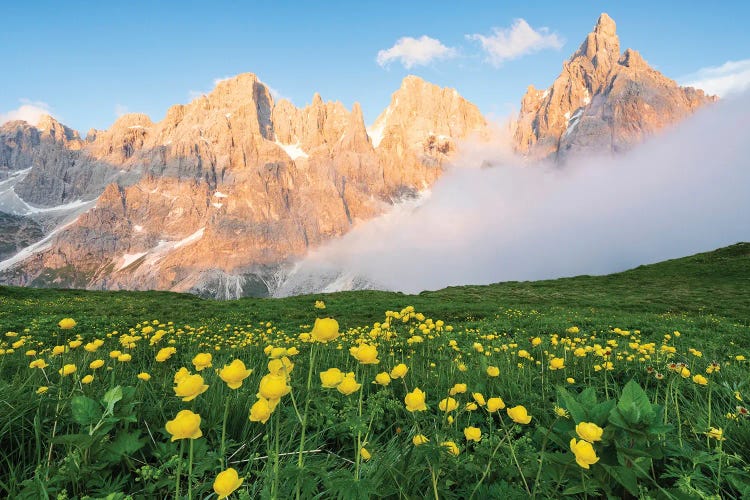 Spring In The Dolomites