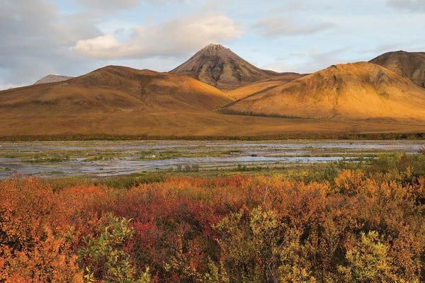 Mauro Battistelli: Artic Circle by Mauro Battistelli