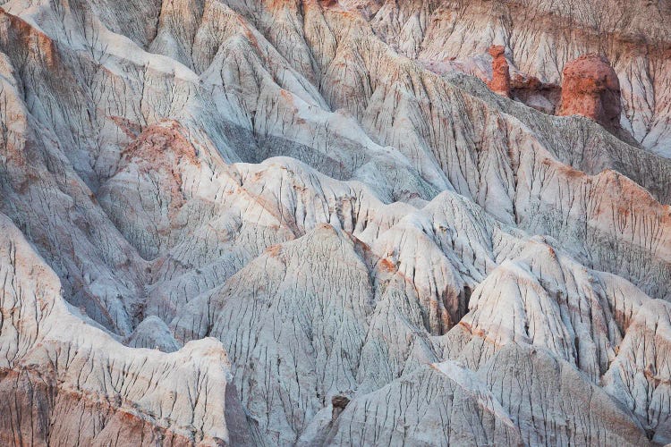 Nature's Art by Mauro Battistelli wall art