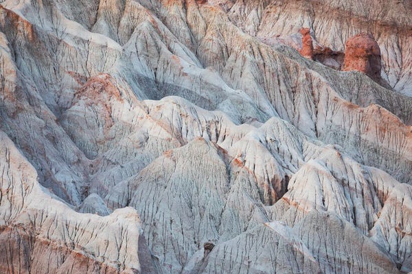 Mauro Battistelli: Nature's Art by Mauro Battistelli