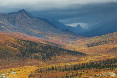 Tombstone by Mauro Battistelli gallery poster