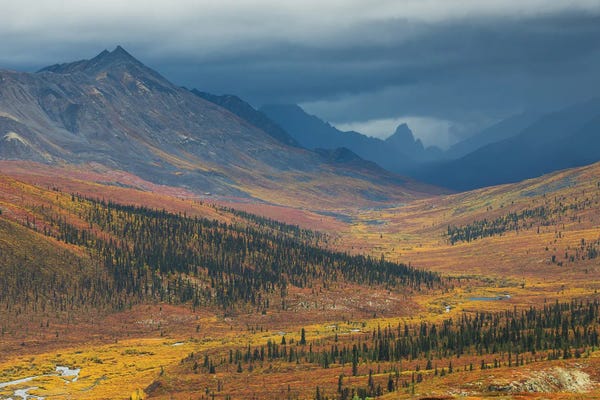 Mauro Battistelli: Tombstone by Mauro Battistelli